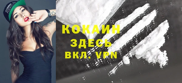 мдпв Рославль