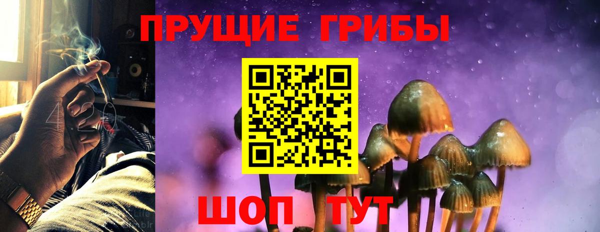 Галлюциногенные грибы мицелий  Вход с VPN  Джанкой 